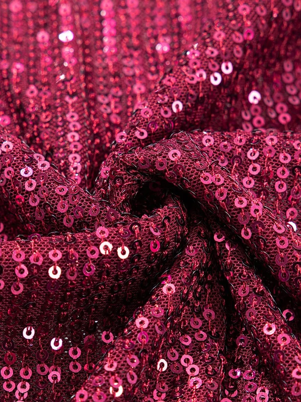 Burgundy Sequin Top with Balloon Sleeves