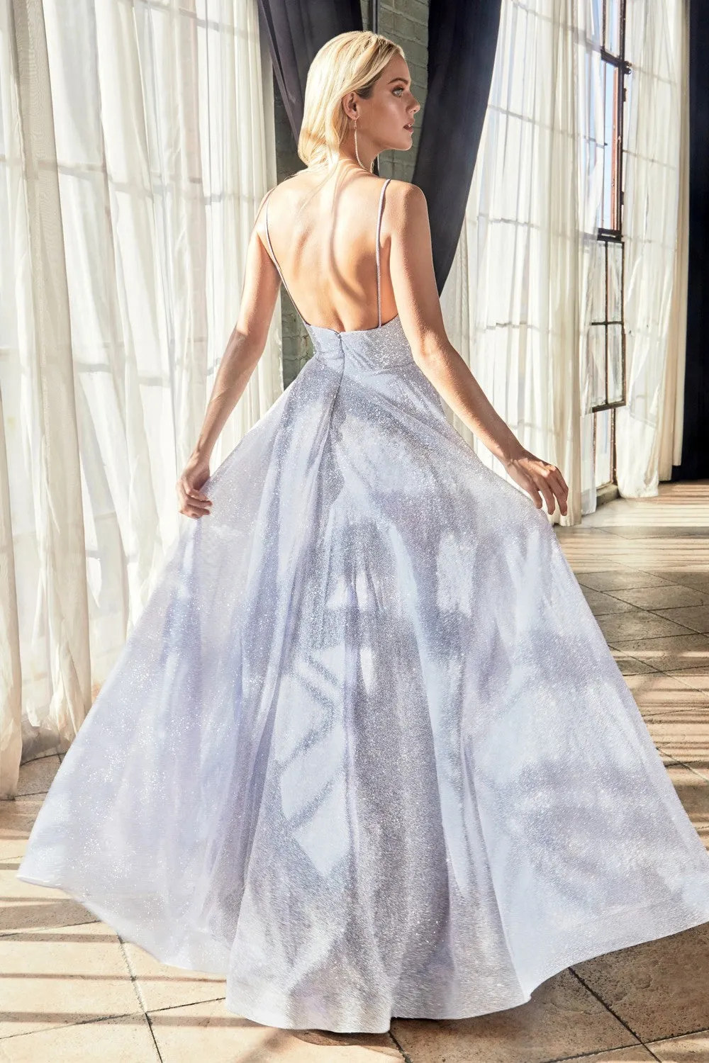 CD CD205 - A-Line Ball Gown With V-Neck Rhinestone Embellished Spaghetti Straps & Layered Shimmer Tulle Skirt