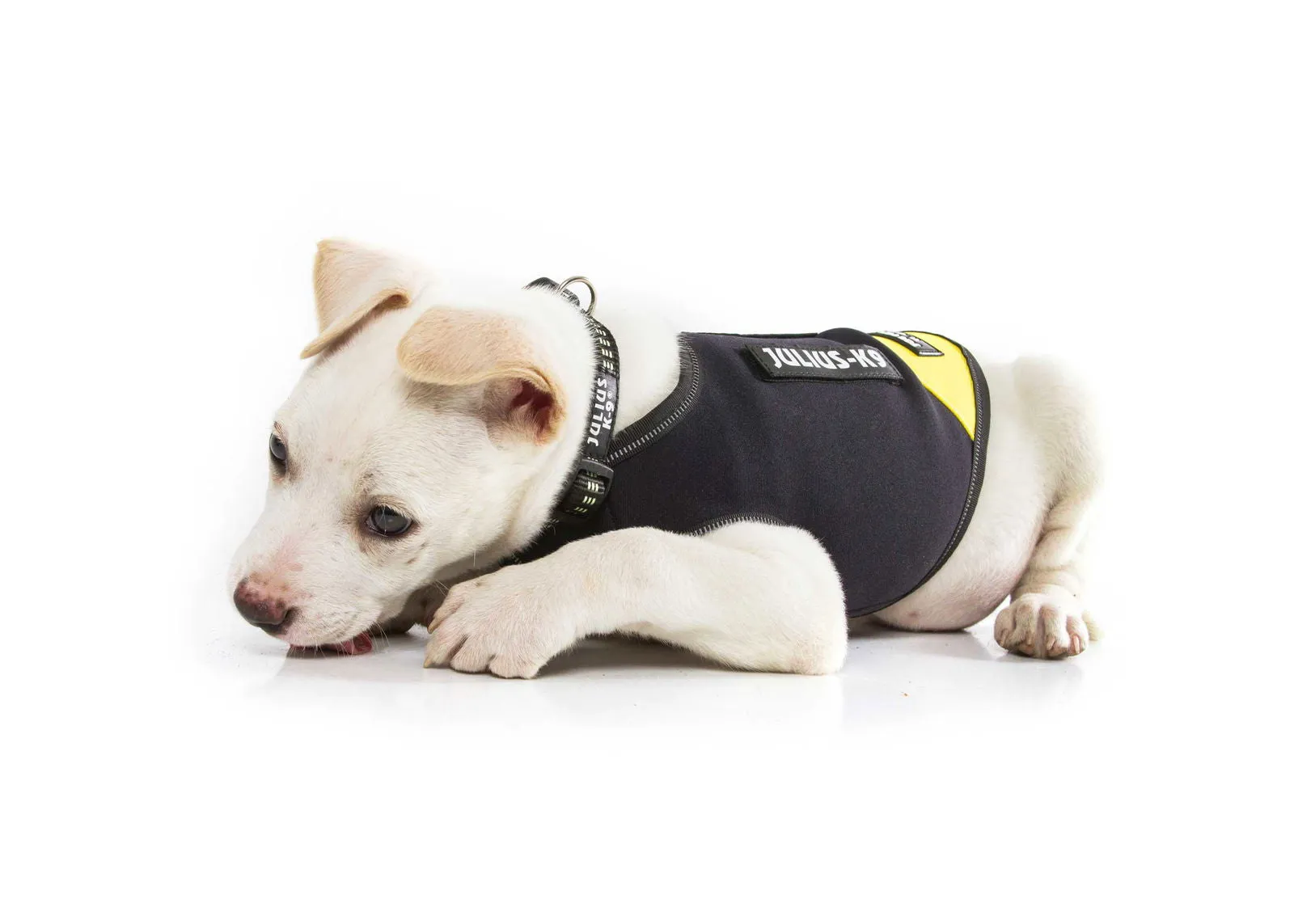 IDC Neoprene Waterproof Dog Vest -All Weather Vest