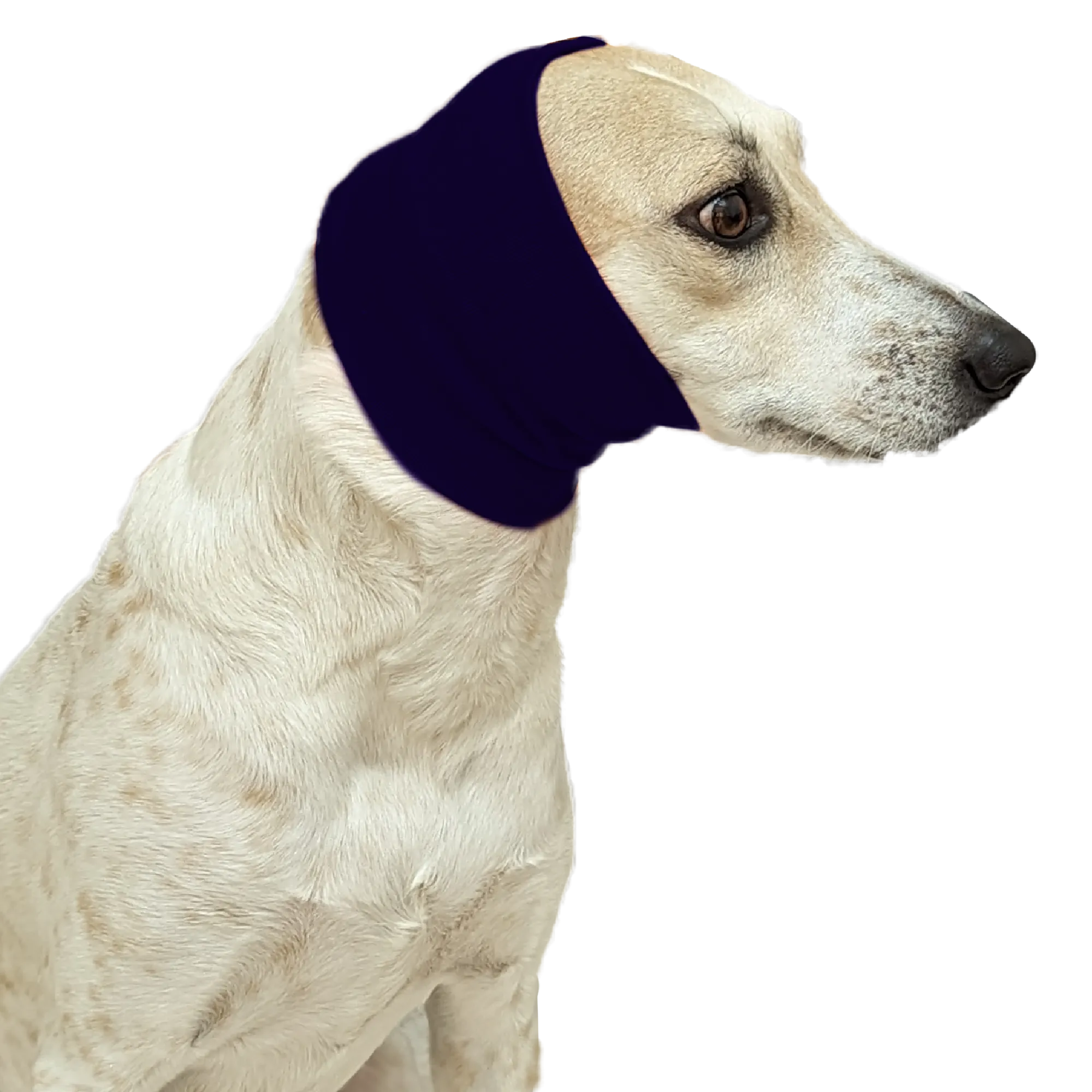 Navy Blue Ear Muff For Cats & Dogs