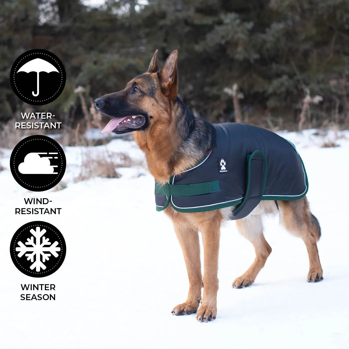 Shedrow K9 Vail Dog Coat Black with Smoke Pine Trim