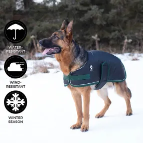 Shedrow K9 Vail Dog Coat Black with Smoke Pine Trim
